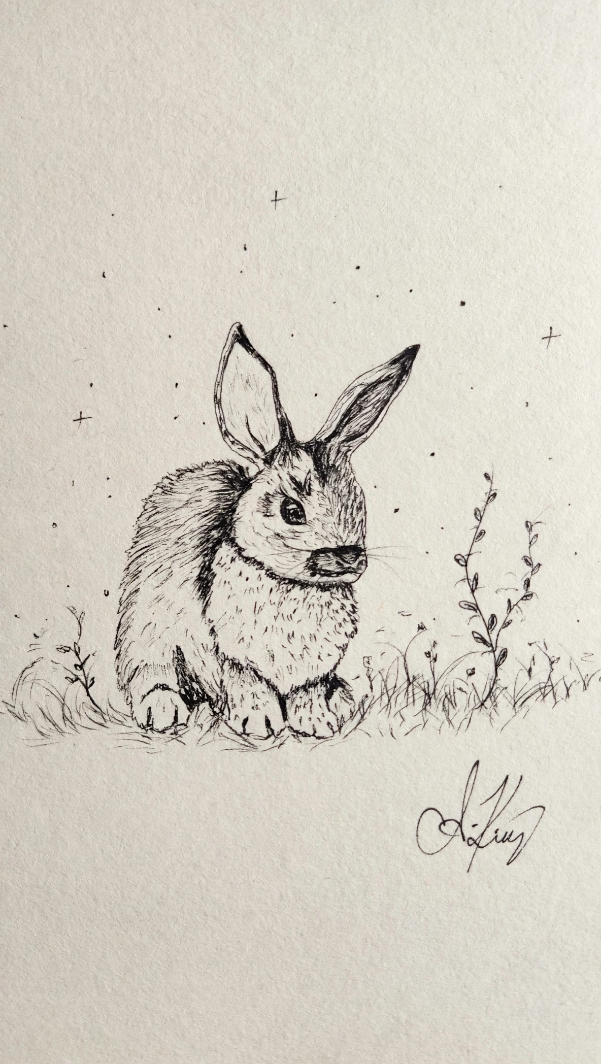 Am Cute — Ink