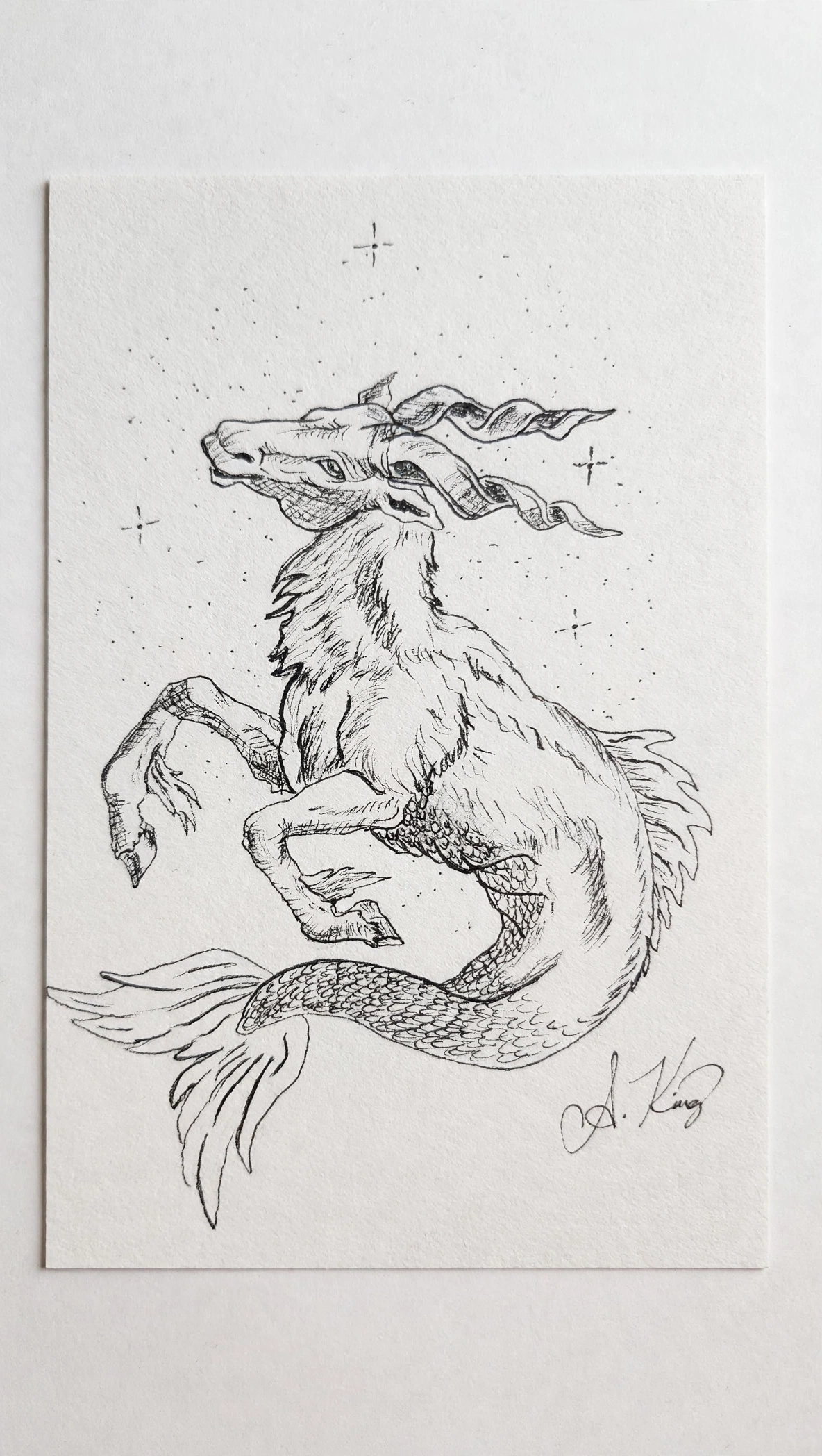 Capricorn — Ink pen